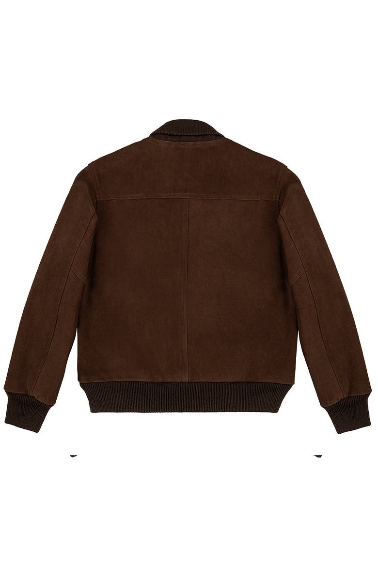 Voyageurs Bomber Jacket, Alternate, color, Hazelnut