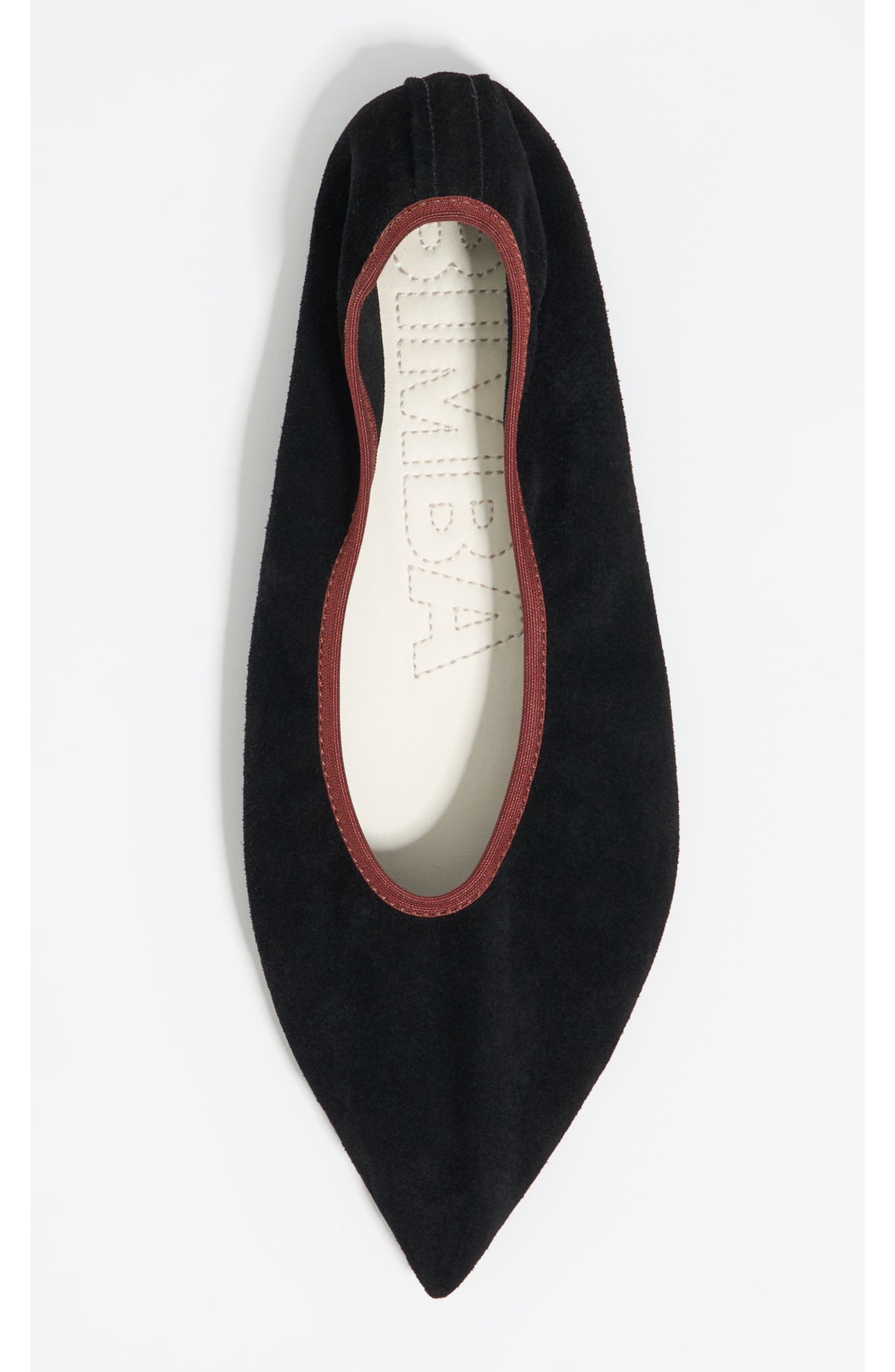 Pointed Toe Ballerina, Alternate, color, BLACK