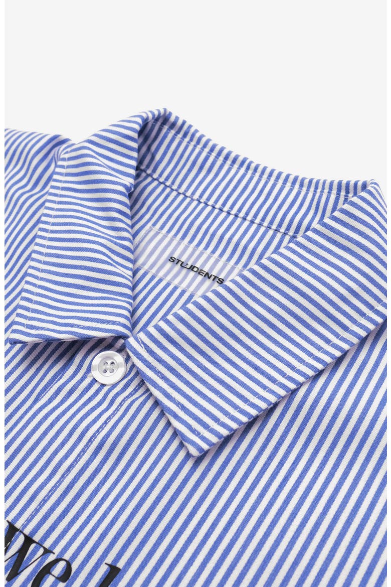 Riverton Long Sleeve Cotton Button-Up Shirt, Alternate, color, CHAMBRAY