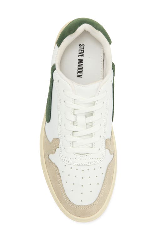 Shop Steve Madden Low Top Sneaker