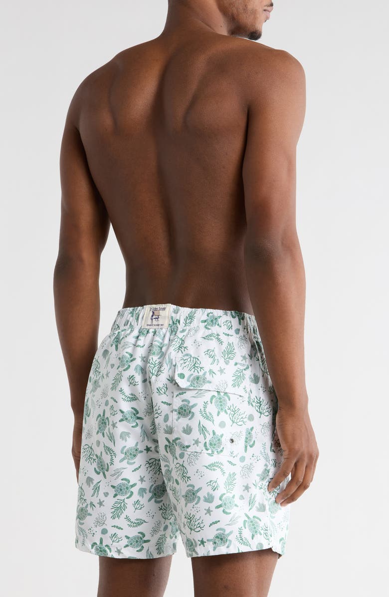 Vintage Summer Turtle Print Swim Shorts, Alternate, color, White