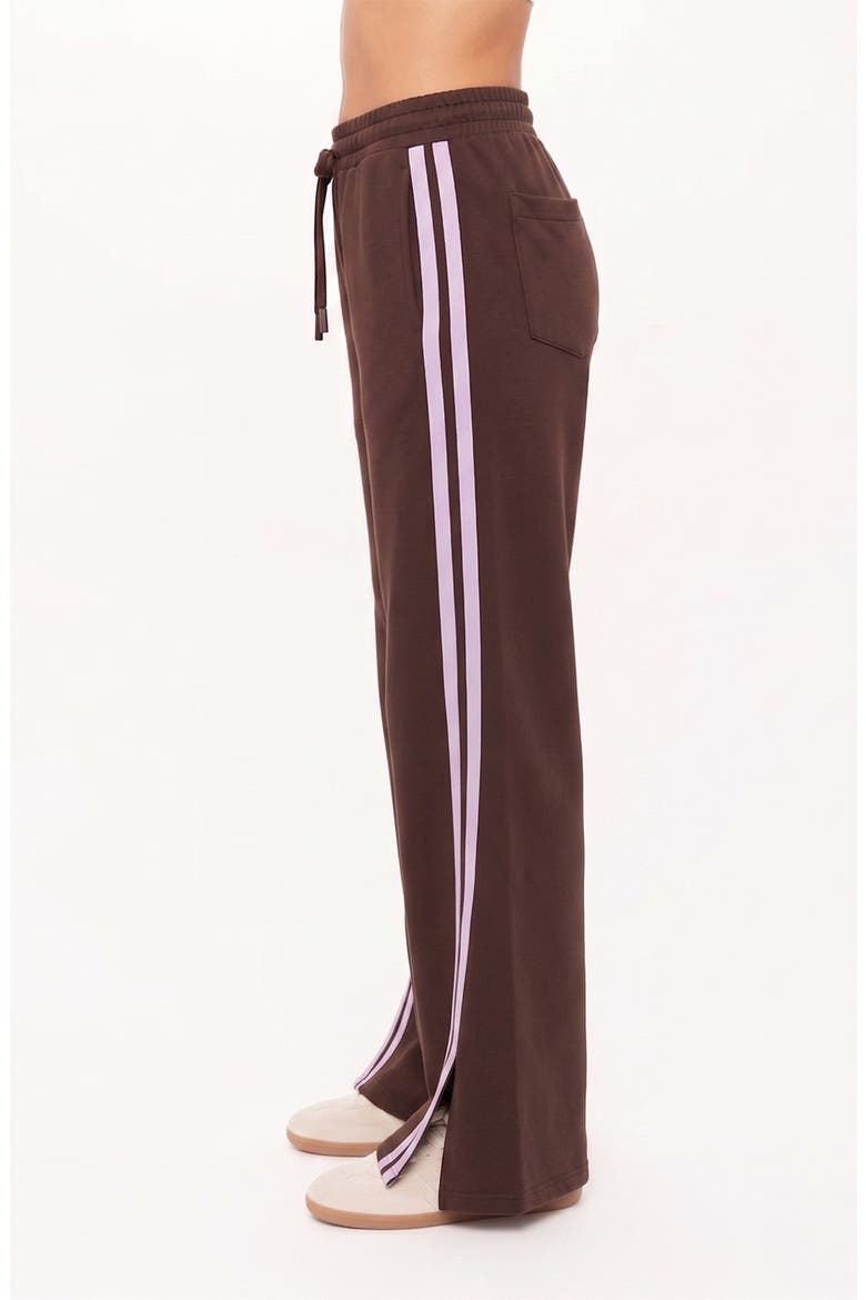 Roma Wide Leg Stripe Pants, Alternate, color, BROWN