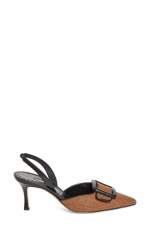 Manolo Blahnik Mayslibi Buckle Slingback Pump In Brown