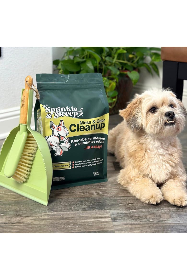 Pet Mess and Odor Cleanup Duo, 15oz Bag & Dustpan Broom, Alternate, color, Multicolored