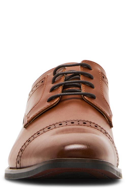 Steve Madden Puntic Cap Toe Derby In Brown