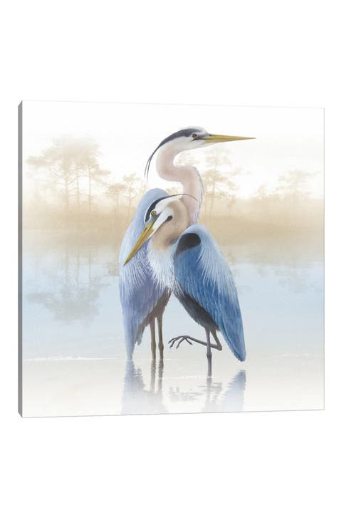 Misty Plumage II by Steve Hunziker Canvas Wall Art