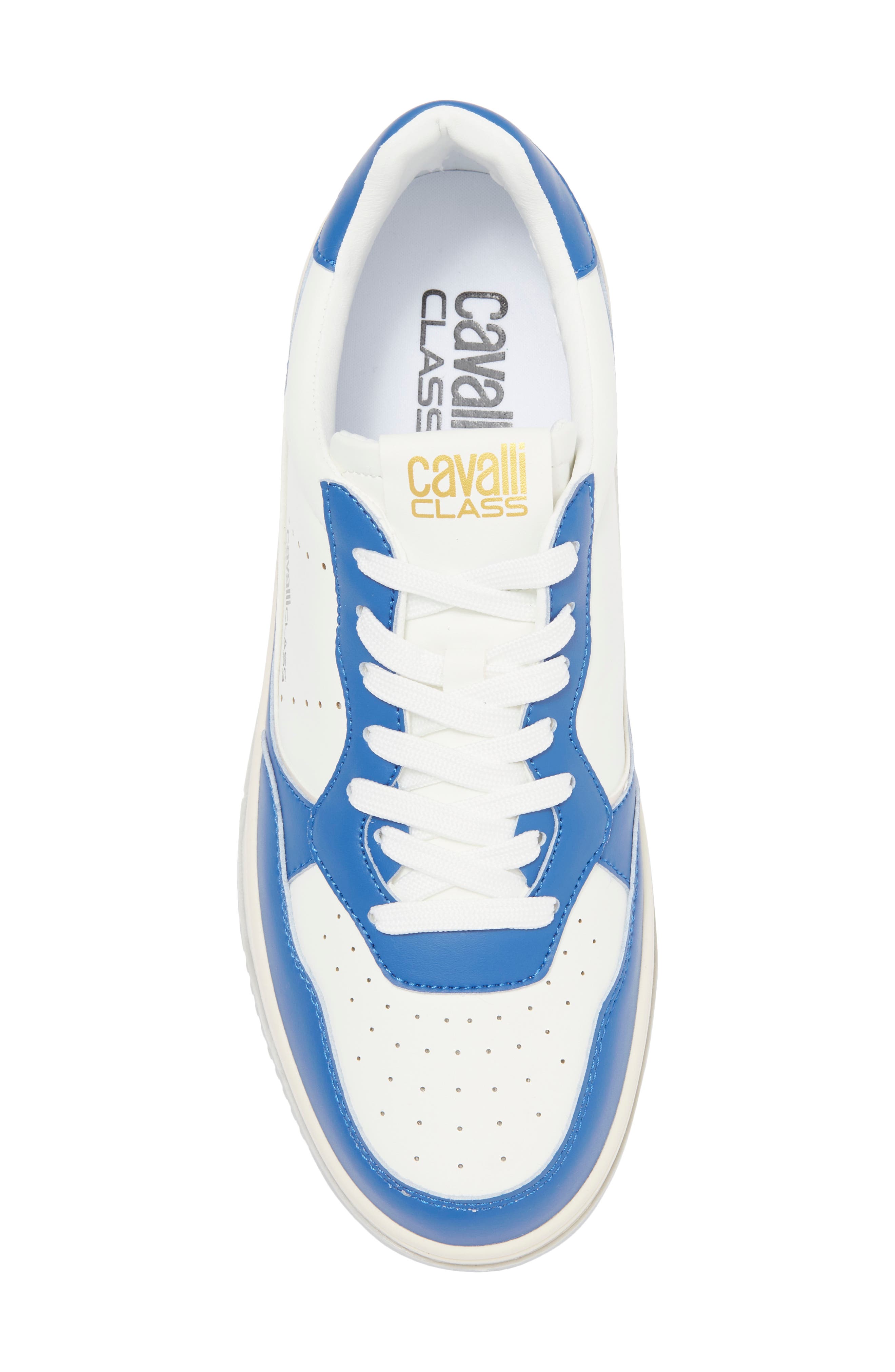 Roberto Cavalli Cavalli Class Two-Tone Perforated Low Top Sneaker, Alternate, color, 