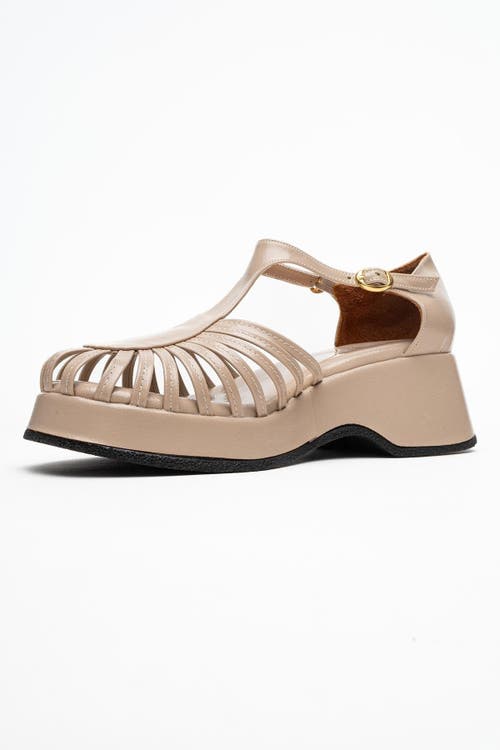 Prologue Shoes Aniel Platform Wedge Sandal In Pink
