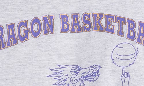 Elwood Vintage '92 Dragon Basketball Tee In Gray
