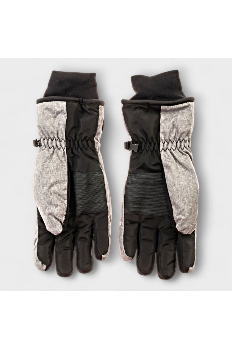 Men's Ski Gloves, Alternate, color, Grey