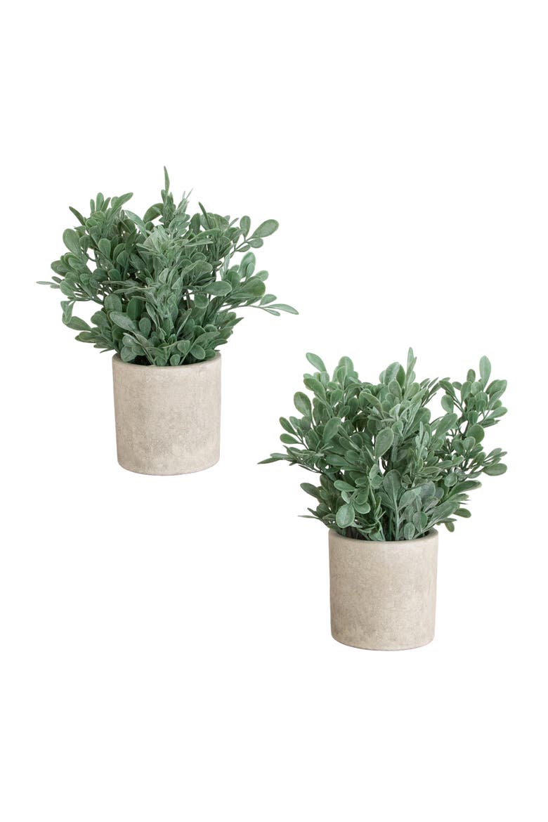 8-in Artificial Boxwood in Decorative Planter - Set of 2, Main, color, Green
