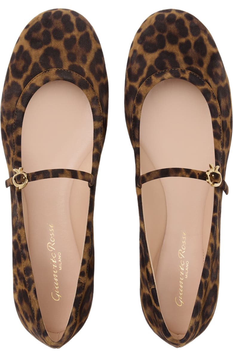Gianvito Rossi Carla Ballerina, Alternate, color, Leopard Brown
