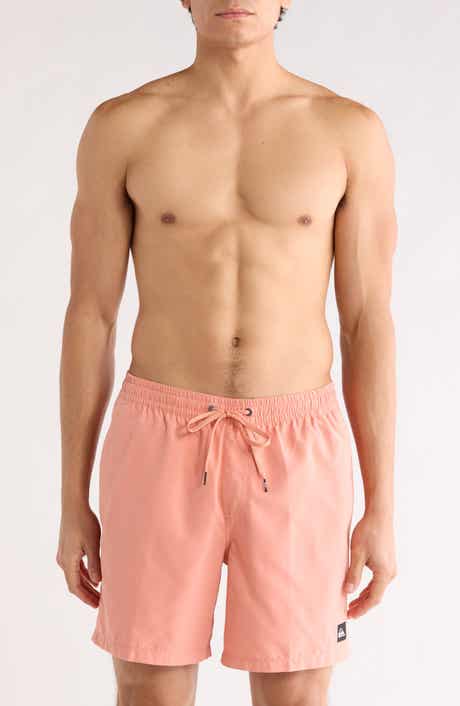 Quiksilver Everyday Solid Volley Swim Trunks