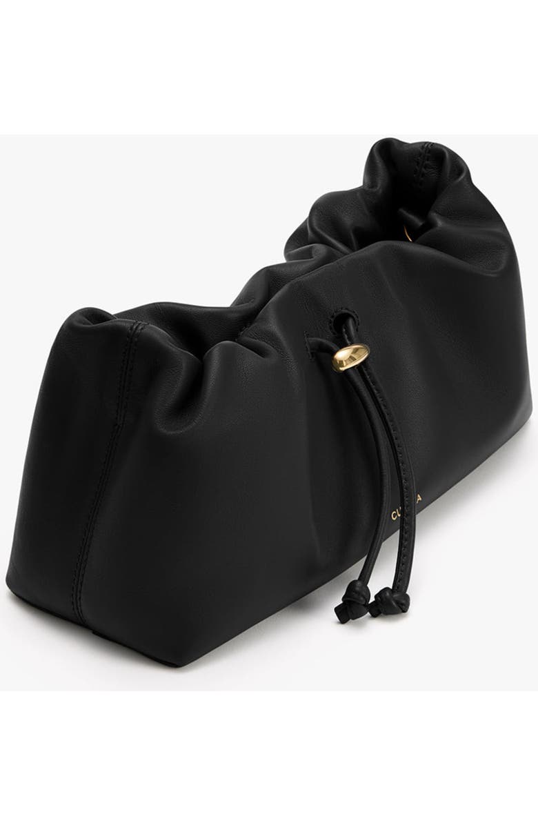 Cuyana Mini Dia Bag, Alternate, color, Black