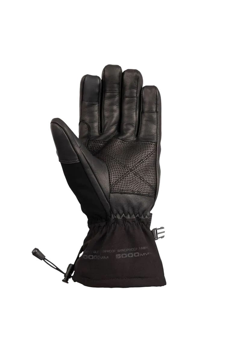 Gender Inclusive Edonia Dlx Leather Ski Gloves, Alternate, color, Black