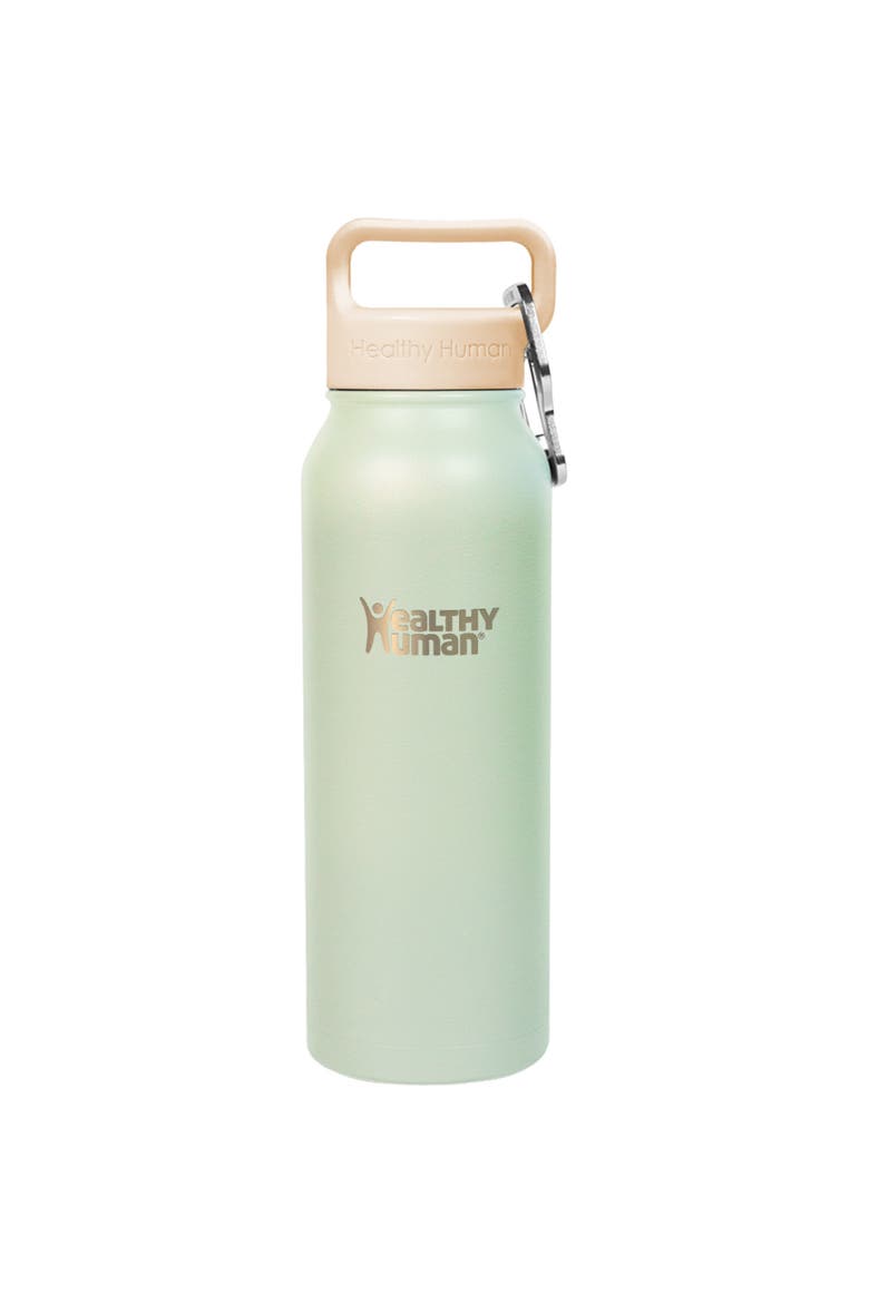 The Stein Water Bottle 21 oz, Main, color, Peppermint