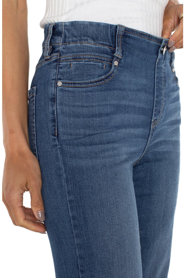 Gia Glider Slim Fit Pull-On Crop Jeans, Alternate, color, SAGE CREEK