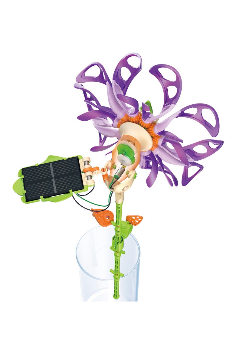 SolarFlower - Purple Majestic, Alternate, color, MULTI