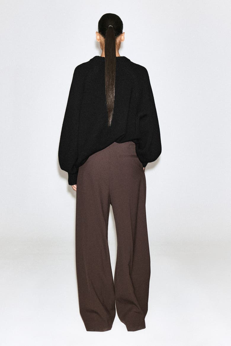Relaxed Twill Wide-leg Pants, Alternate, color, DARK BROWN