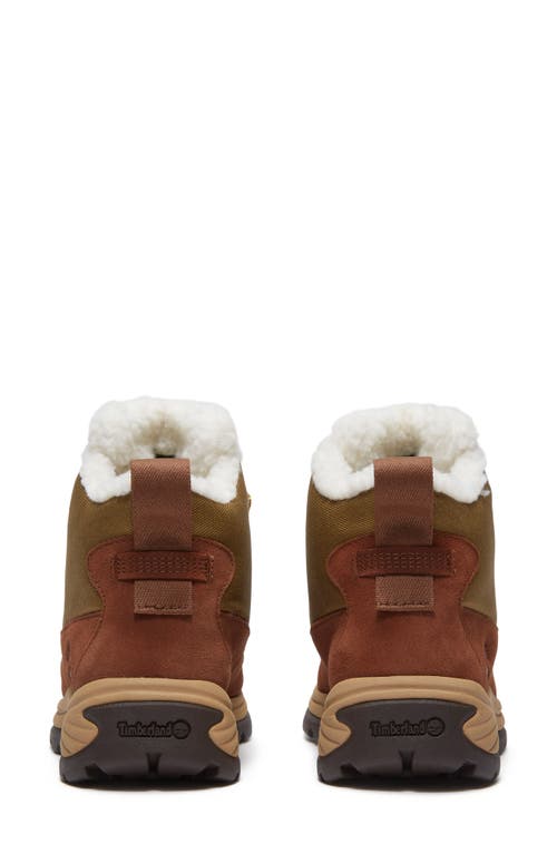 Timberland White Ledge Waterproof Mid Hiking Boot In Multi