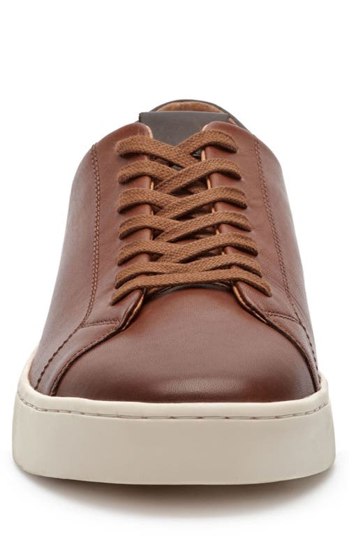 Vince Camuto Hallman Leather Sneaker In Brown