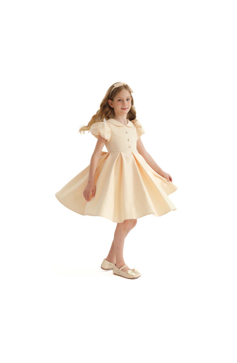 Tulleen Barrymore Dress, Alternate, color, Champagne