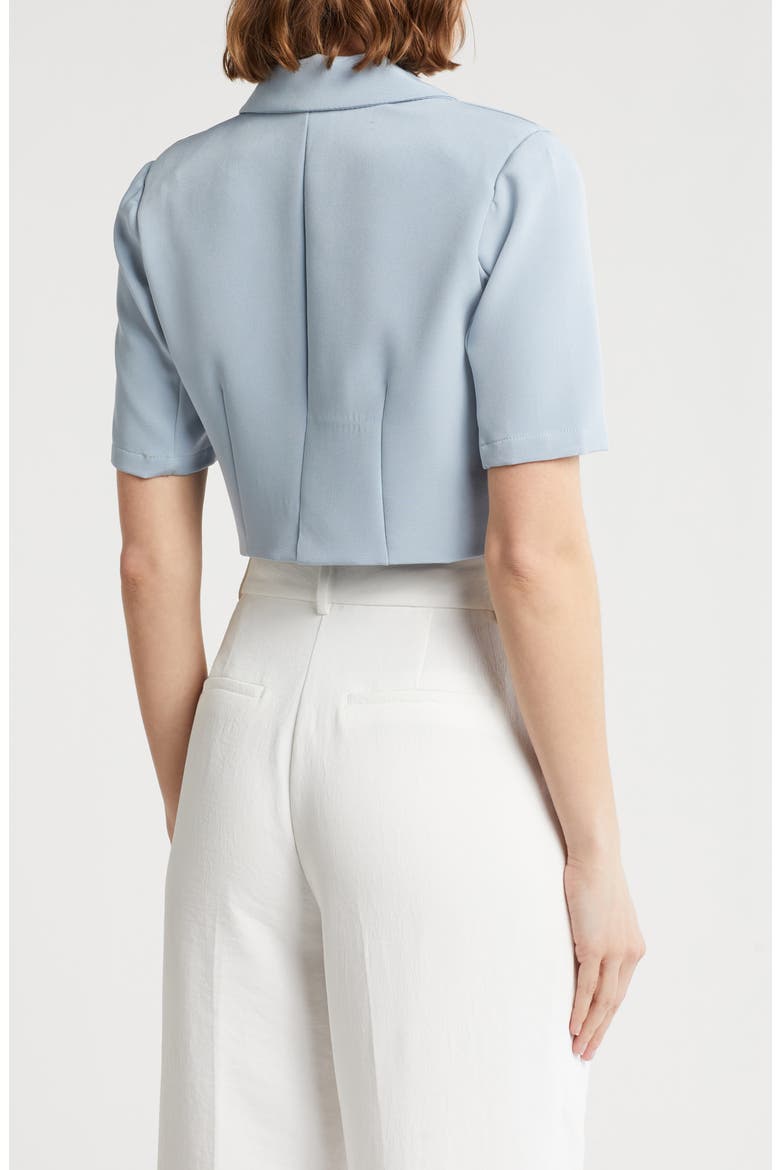 Ryder Short Sleeve Crop Blazer, Alternate, color, DUSTY BLUE