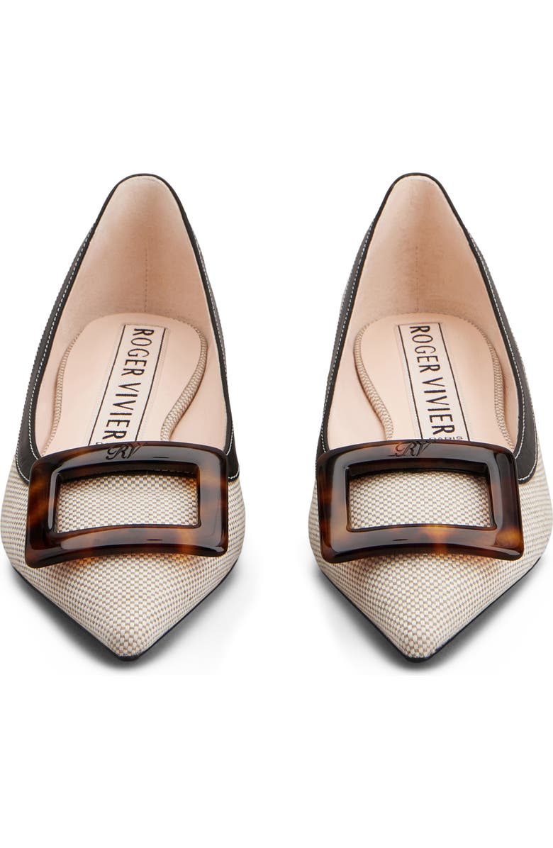 Roger Vivier Gommettine Pointed Toe Ballet Flat, Alternate, color, Daino/ Nero