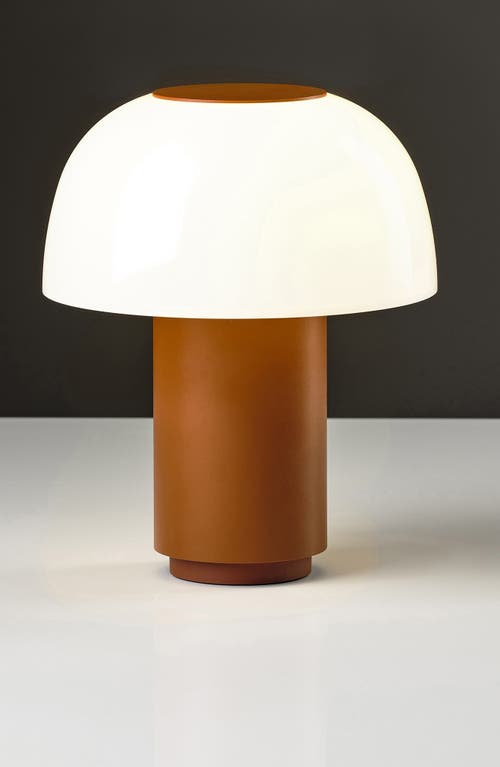 Zone Denmark Harvest Moon Indoor/outdoor Lamp In Brown