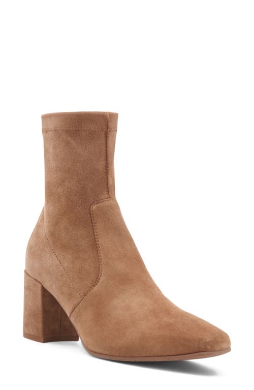 Aquatalia Demetra Water Resistant Bootie In Multi