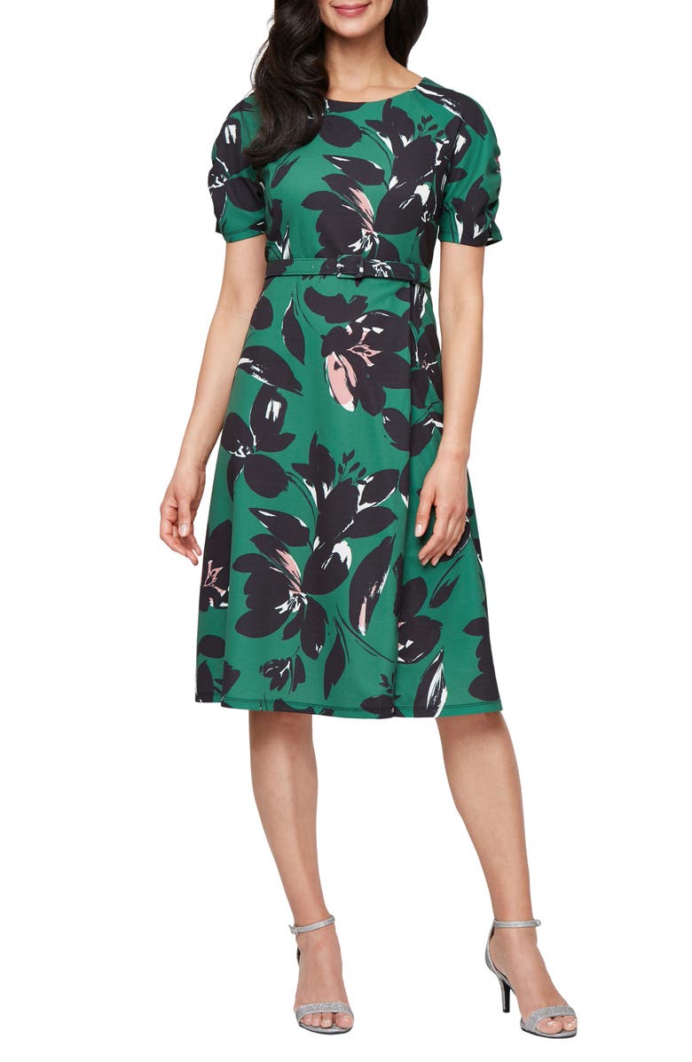 SL FASHIONS Short Sleeve A-Line Dress, Main, color, 