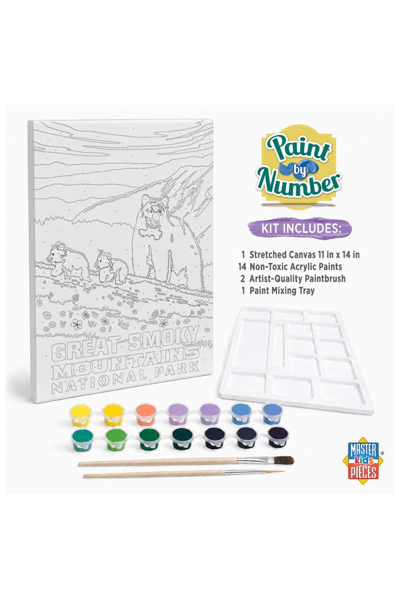 Smoky Mountain Paint by Number, Alternate, color, Multicolor