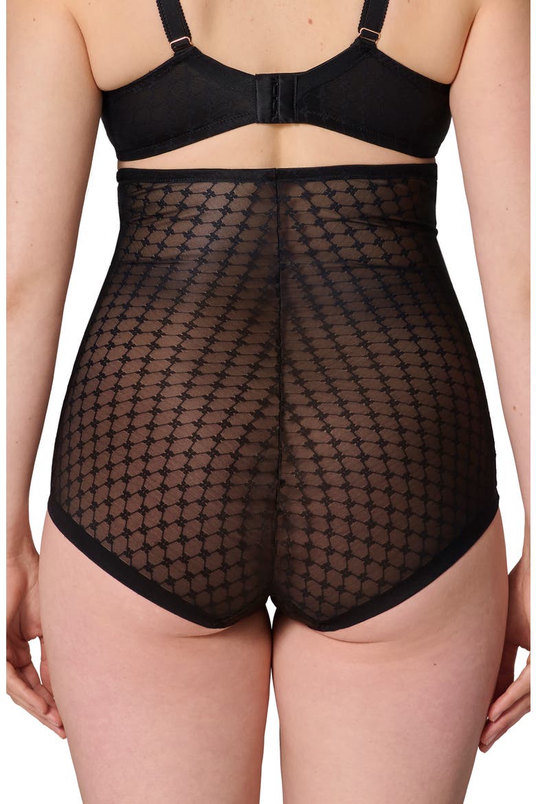 Plume Embroidered High Waist Shaping Briefs, Alternate, color, BLACK