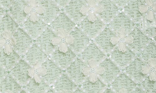 SIEDRES SIEDRÉS LUNIES FLORAL APPLIQUÉ SHEER LACE MIDI SKIRT