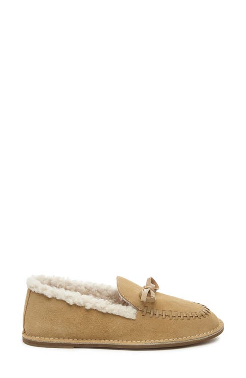 Kelsi Dagger Brooklyn Huggy Faux Shearling Lined Slipper In Brown
