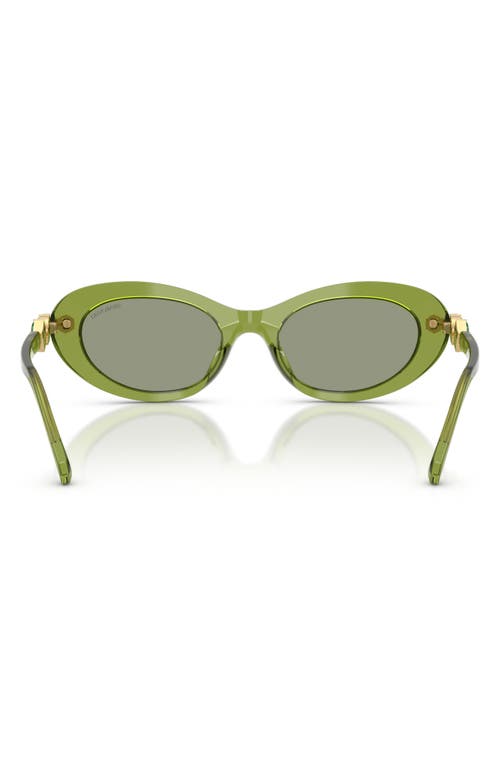 Swarovski 53mm Oval Sunglasses
