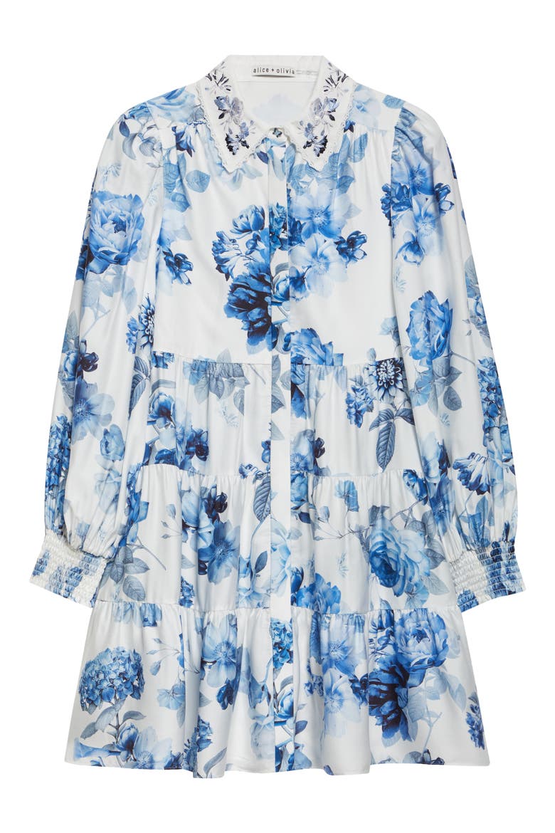 Junia Embroidered Collar Long Sleeve Minidress, Alternate, color, AFFECTION SMALL