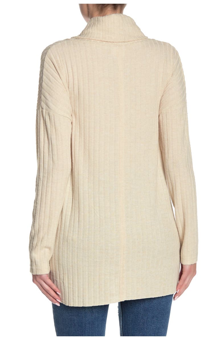 Abound Cowl Neck Ribbed Tunic Sweater, Alternate, color, 