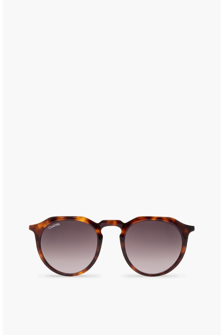 Sunglasses City, Main, color, Brown