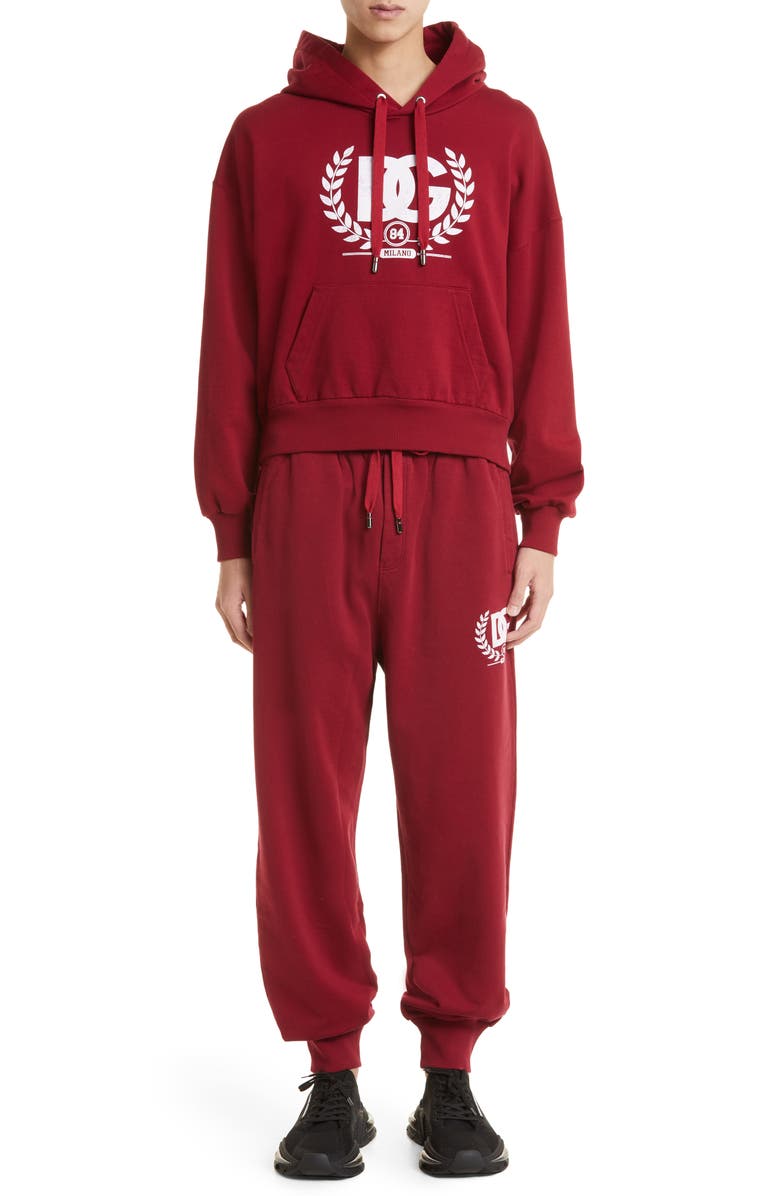 Dolce&Gabbana DG Crest Logo Cotton Hoodie, Alternate, color,
