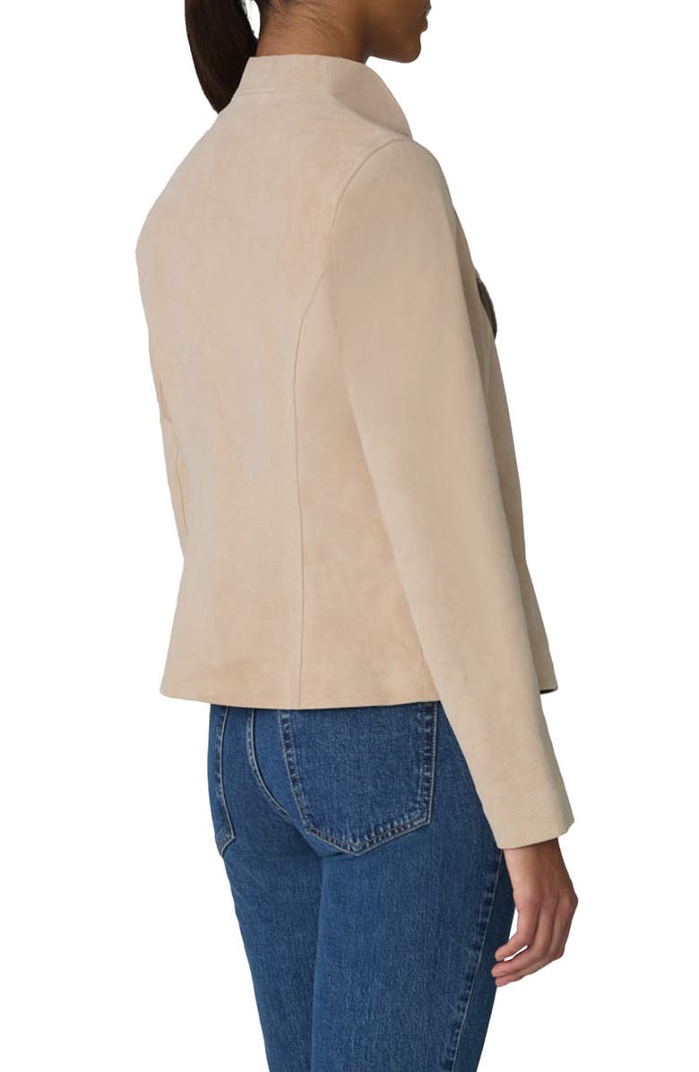 Soia & Kyo Catherine Suede Moto Jacket, Alternate, color, 