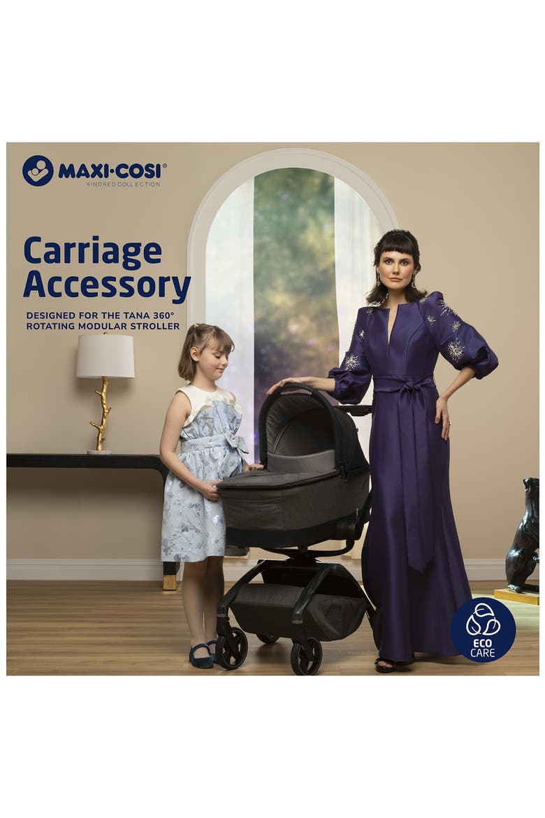 Kindred Collection Carriage Accessory, Alternate, color, ONYX HERITAGE