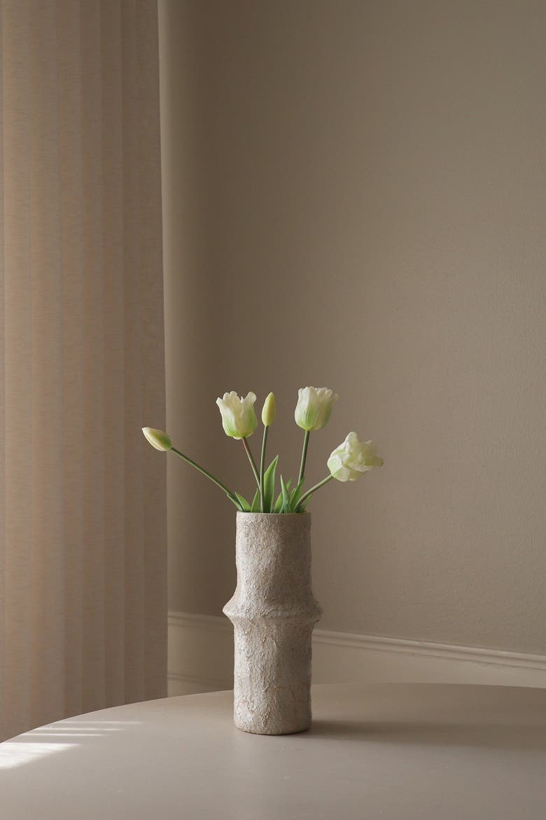 White Triumph Tulips, Alternate, color, White