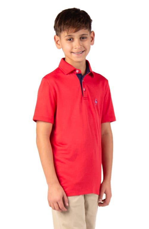 Tailorbyrd Kids' Solid Knit Polo In Green
