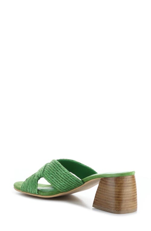 Bos. & Co. Gessa Block Heel Slide Sandal In Green Rafia/suede
