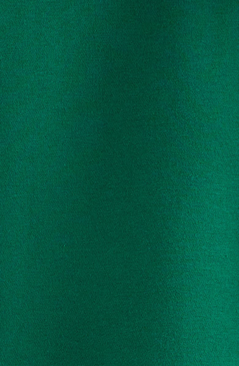 Tucker + Tate Kids' Hoodie & Joggers Set, Alternate, color, Green Pothos Goals Graphic