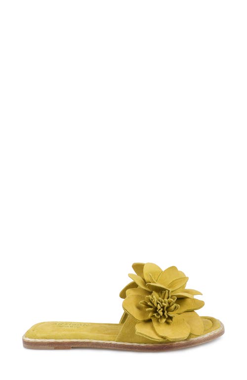 Zigi Artisan Aurra Slide Sandal In Yellow