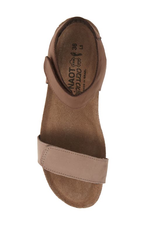 Naot Alba Sandal In Stone/coffee Bean