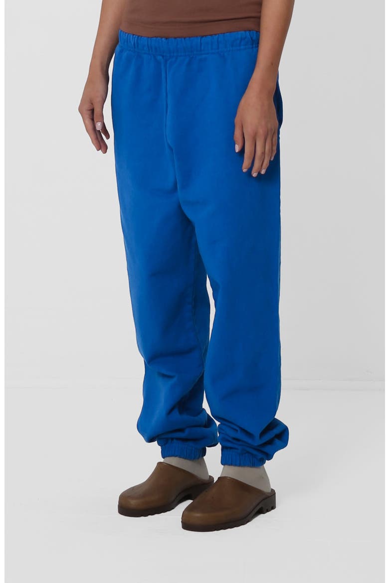 Trash Sweatpants, Alternate, color, Lapis