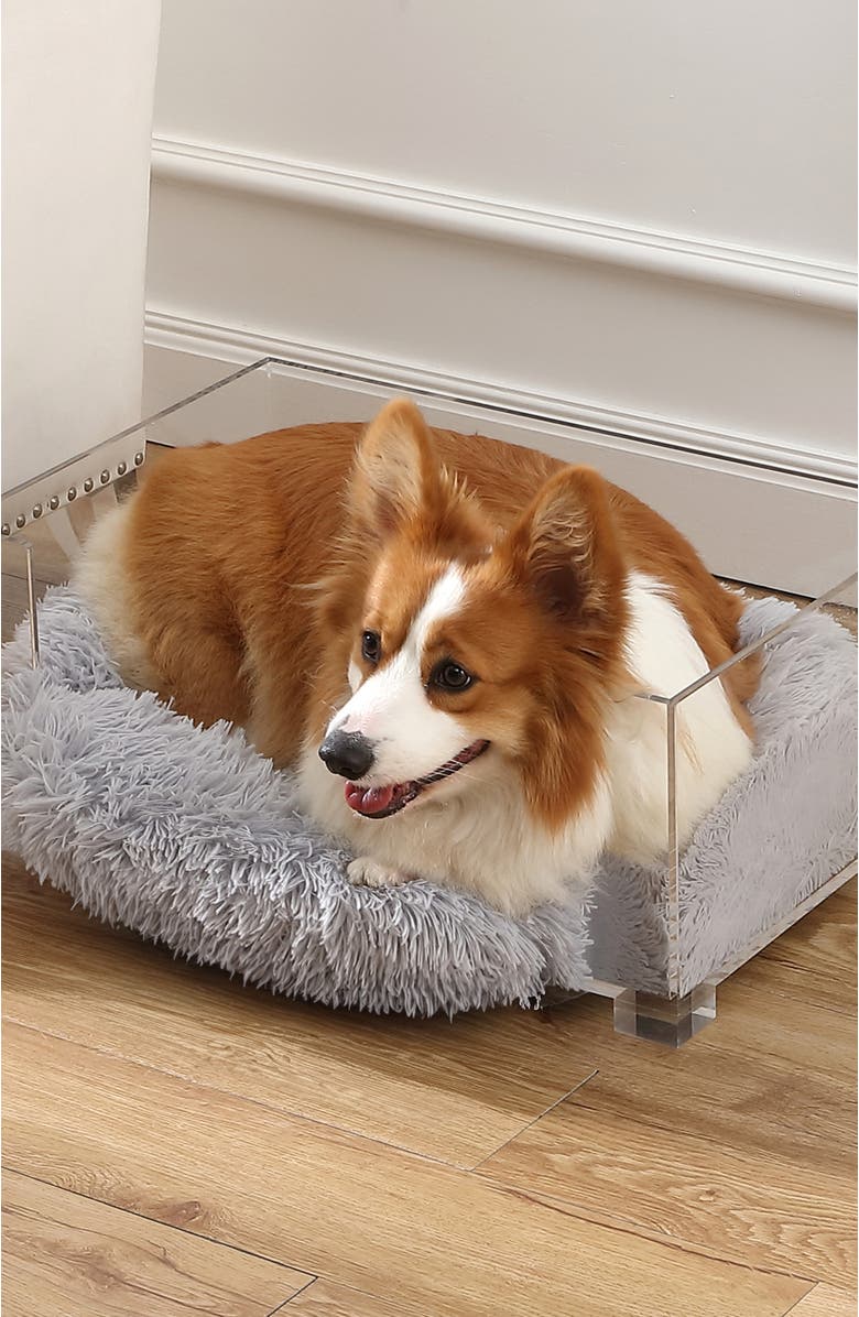 The Licker Store Billie 24" x 15.75" Small Modern Lucite Calming Fluffy Pet Bed with Washable Cushion and 4" Elevated Pet Feeder with 27 oz 2-Stainless Steel Bowls, Alternate, color, Light Gray/Clear